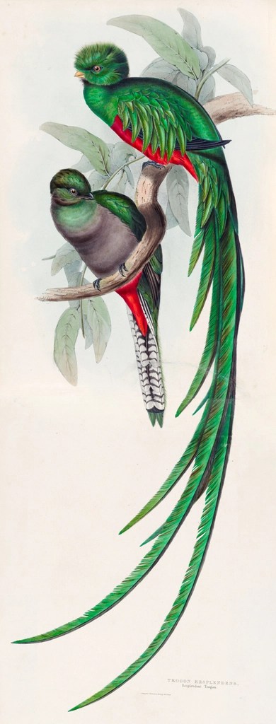 ( G ) GUATEMALA /&nbsp;GUANTÁNAMO